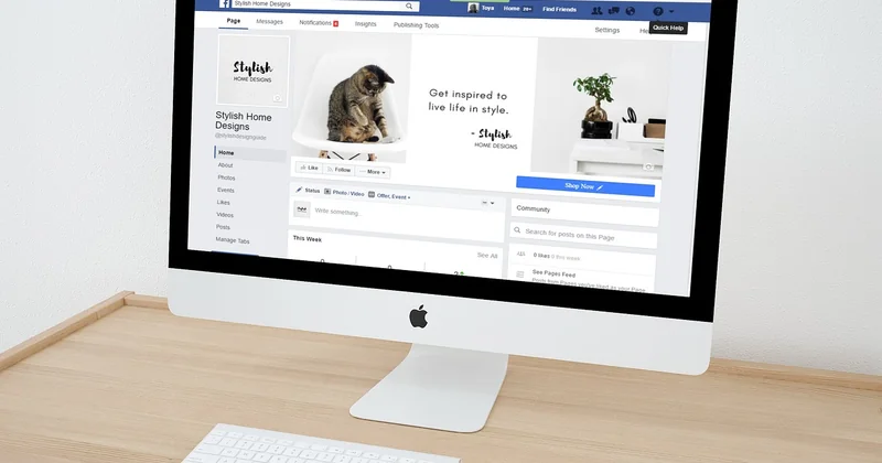 Launch pricing for a brand-new business
