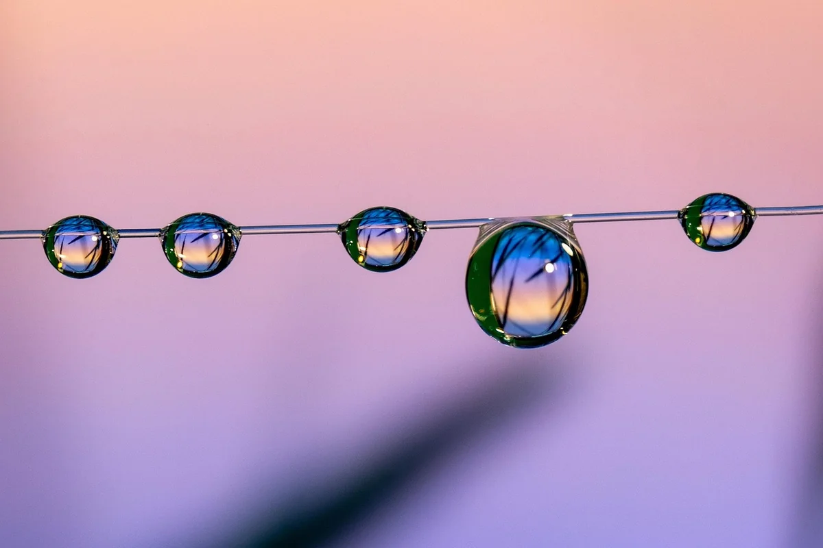 Beyond the Office: Common & Missed Expenses